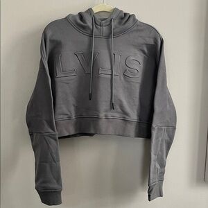 Levels Aysia Embossed Crop Hoodie in grey size XL